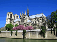 Foto Parigi: Notre Dame